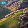 伊犁杏花沟春季限定徒步｜穿越中世纪野杏林 赛里木湖+吐尔根杏花沟轻奢露营 6日 商品缩略图4