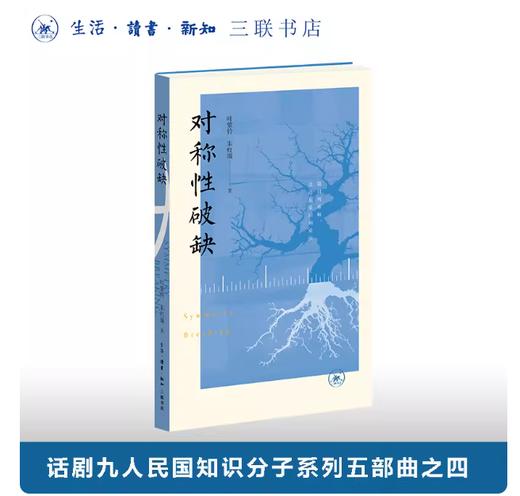 对称性破缺 商品图0