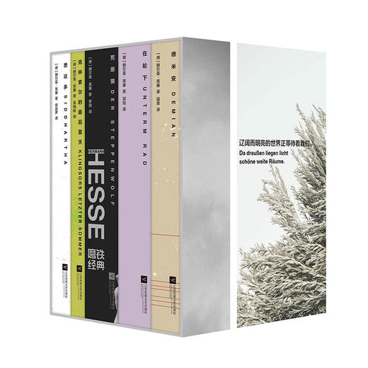 【磨铁】磨铁经典文库系列：黑塞文集（全五册） 限量加赠随身包 商品图2
