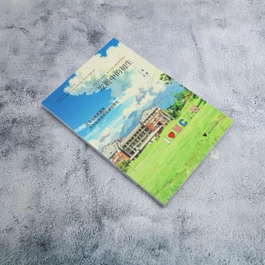 发展中的初生:社会工作教育者作为实践者的反映性研究 商品图1