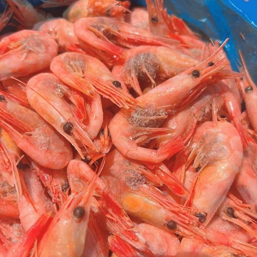 北极甜虾【顺丰发货】 商品图7