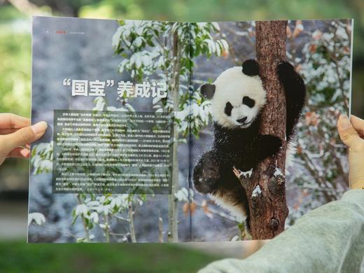 《国·家人文历史杂志》（2026年3月--2027年2月）全年订阅，共24期，每月发出2期。| 赠品：订一年顺延赠送3个月+赠保温杯 商品图5