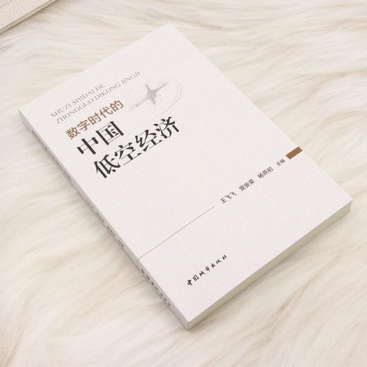 数字时代的中国低空经济 商品图1