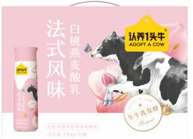 有盖pet酸奶230g*10瓶 商品图4