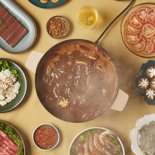 小熊（Bear）电火锅 电煮锅 电锅一体 电热锅 多功能锅多用途锅5LDHG-C50E1 商品图0