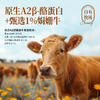 认养一头牛4.0g乳蛋白A2β-酪蛋白娟姗高钙纯牛奶250ml*10盒梦幻盖 商品缩略图1