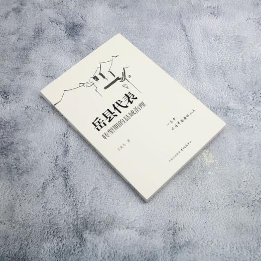 岳县代表:转型期的县域治理 商品图1