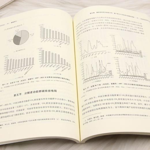碳减排论 商品图4