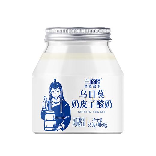 兰格格560g乌日莫奶皮子酸奶 商品图1