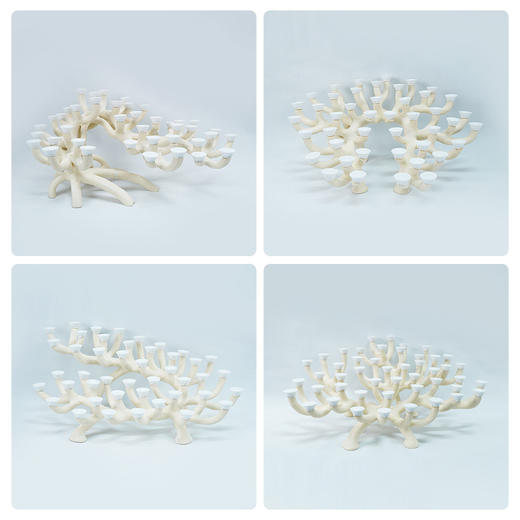 90缸枝状烧制造景 商品图3