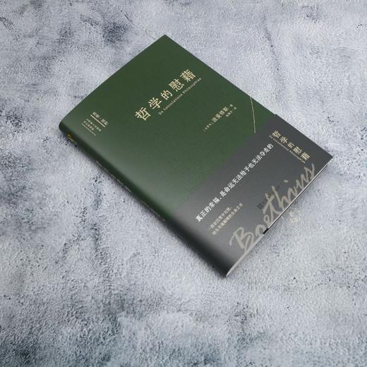 哲学的慰藉 商品图1