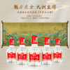 严选 | 五粮液股份公司出品·九洲至樽52°浓香型白酒五瓶装礼盒 100ml*5瓶/盒 一瓶一码 可扫码查真伪 商品缩略图6