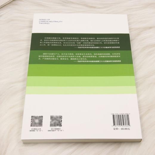 碳减排论 商品图2
