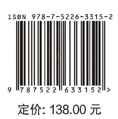 2020年太湖流域大洪水 商品图4