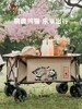 【金皇会员449金币专享】CAMEL熊猫营地车露营野餐拖车买菜溜娃遛狗车聚拢带刹车可躺旅行推车 商品缩略图2