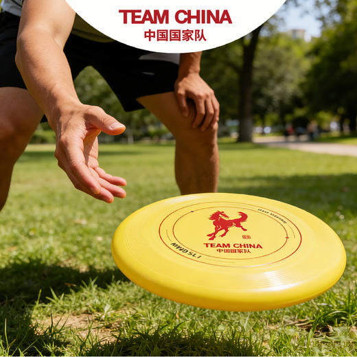 马年系列运动飞盘 商品图1