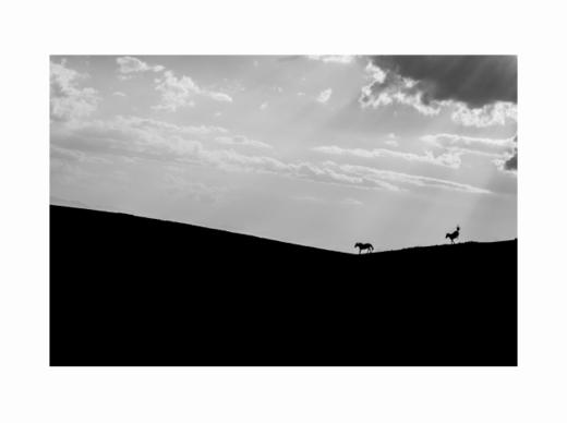 张耕畦丨一马当先 收藏级礼品照片 商品图5