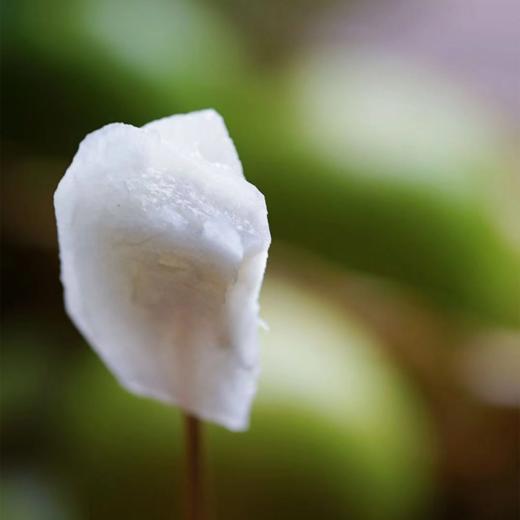 菜头商城 云南西双版纳苹果蜜枣 礼盒装（16枚一级果） 商品图1