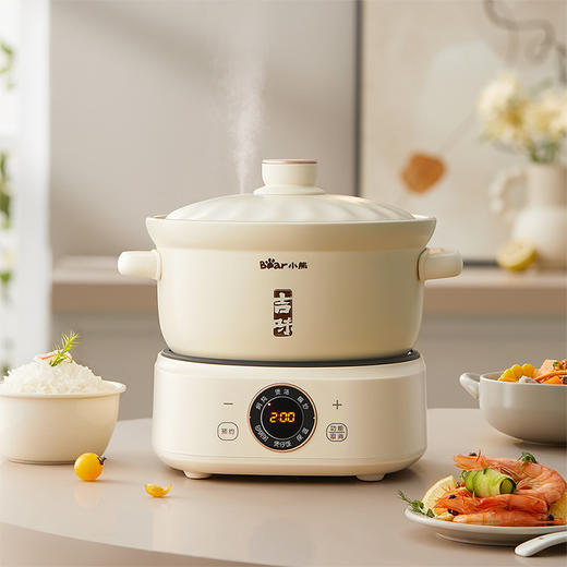 小熊（Bear） 电砂锅 电炖锅 原矿砂锅 智能预约定时炖汤锅煲汤煮粥炖肉猛火快炖双料高温陶瓷锅身 DSG-D30S1 商品图0