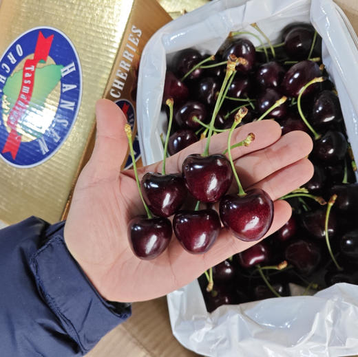 高品【新西兰 科迪亚】空运 新西兰30mm+科迪亚 车厘子，车厘子中天花板，高颜值高口感，高品！ 商品图1