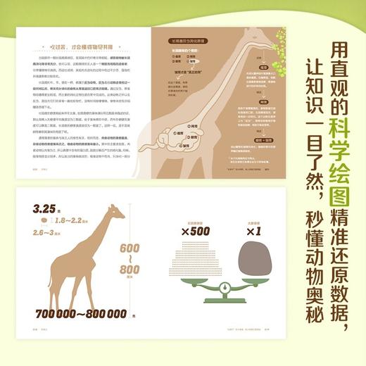 铲屎记:出发!探索野生动物的便便科学 商品图2