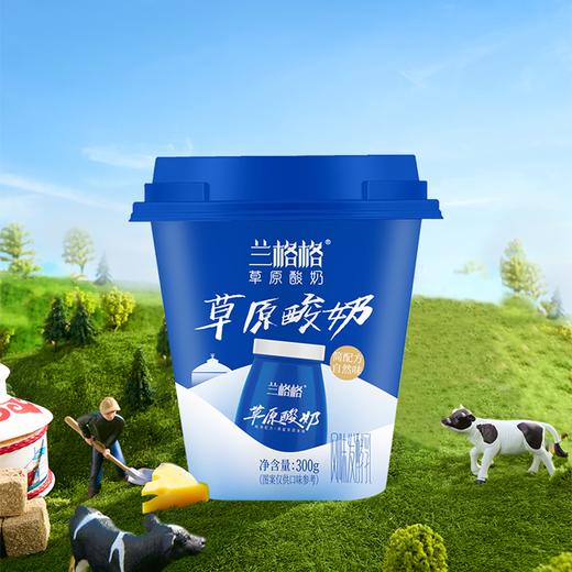兰格格300g乌兰察布酸奶 商品图0