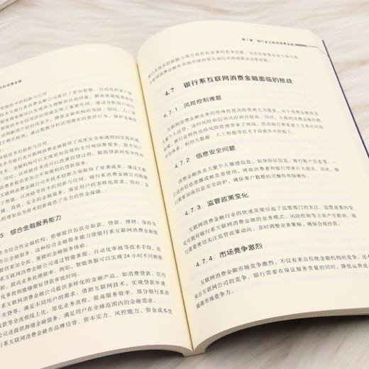 互联网 时代的消费金融 商品图4