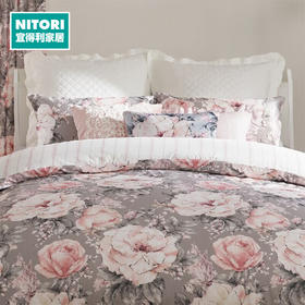 NITORI宜得利家居 家用纯棉枕套不含芯全棉学生宿舍枕套 初花