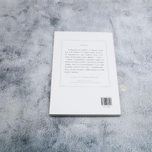 发展中的初生:社会工作教育者作为实践者的反映性研究 商品图2