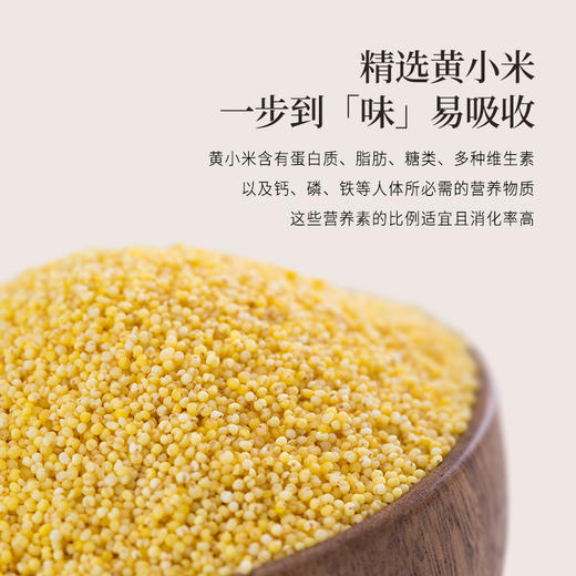 正安 陈皮姜米茶 轻盈抚湿 温润呵护舒适姜米茶 200g/盒（10g*20包） 商品图2