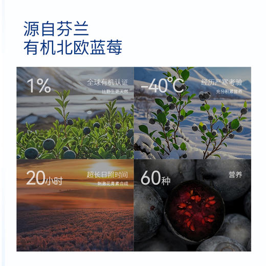 Hyllers芬兰越橘蓝莓护眼粉天然儿童成人视力疲劳眼睛保护叶黄素 商品图4