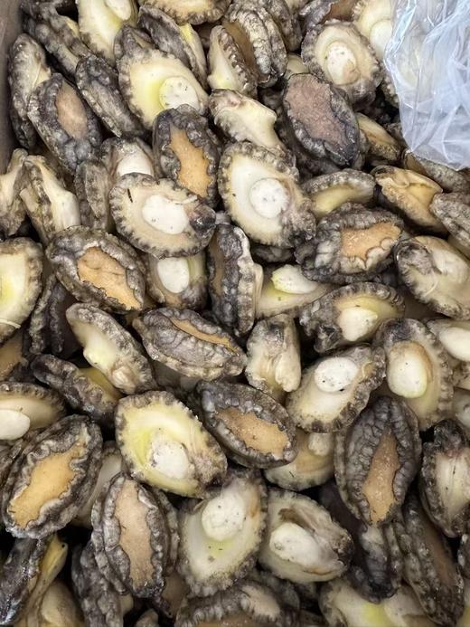 冻鲍鱼肉500g/袋，全部活鲍鱼加工， 在鲜活状态下快速冷冻处理，不缩水，高品质口感好，最大程度保留鲜度和营养，东三省包邮 商品图1