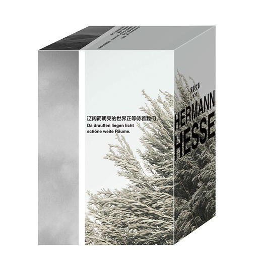 【磨铁】磨铁经典文库系列：黑塞文集（全五册） 限量加赠随身包 商品图3