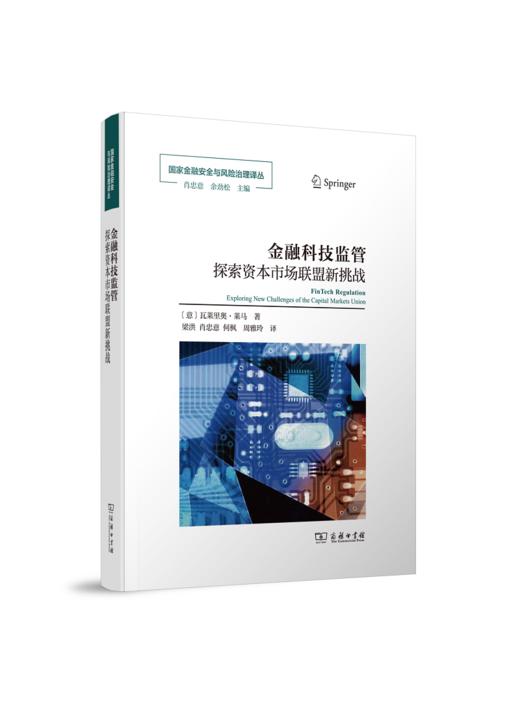 金融科技监管：探索资本市场联盟新挑战(国家金融安全与风险治理译丛) 商品图0