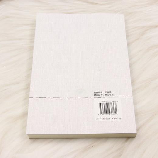 数字时代的中国低空经济 商品图2