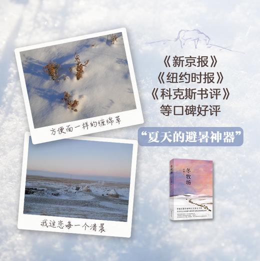 冬牧场 李娟经典非虚构长篇力作 全新修订版 李娟作品 另著我的阿勒泰羊道三部曲遥远的向日葵地等 游牧文化四部曲 纪实文学 商品图3