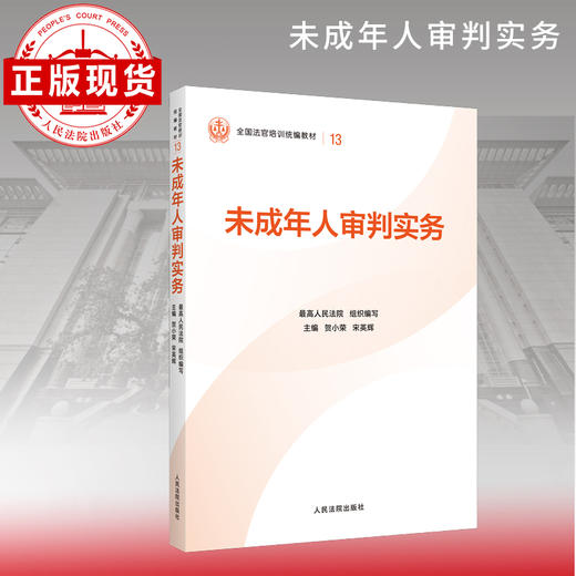 未成年人审判实务 商品图0