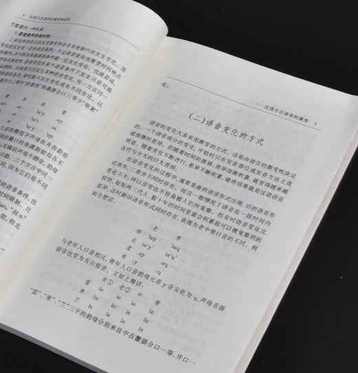【绝版】《汉语方言语音的演变和层次》（修订本），32开平装，王福堂著，语文出版社2005年版，售价29元。 商品图6