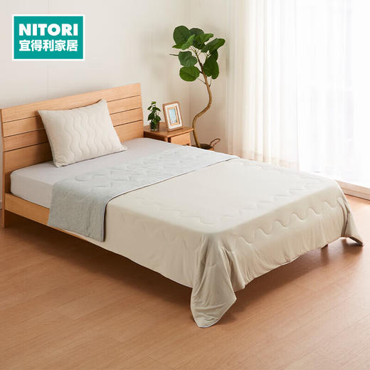 NITORI宜得利家居 夏凉被午睡盖毯枕套四季通用纯色被子 棉花糖舒柔薄被 商品图0