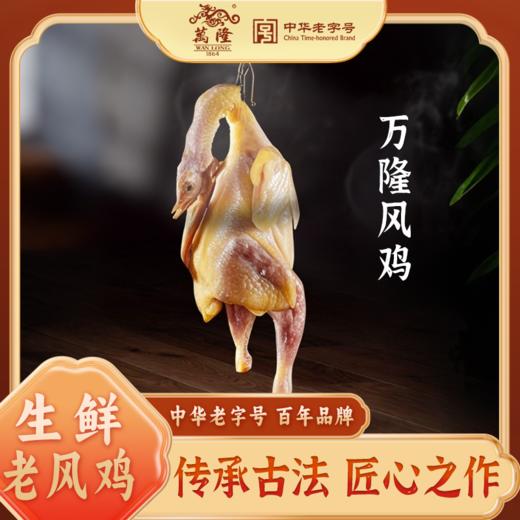 万隆风鸡 （1年以上老母鸡） 非真空 两只装 以老鸡入馔，配料简单，肉质紧实如丝，咸香深植肌理 商品图0