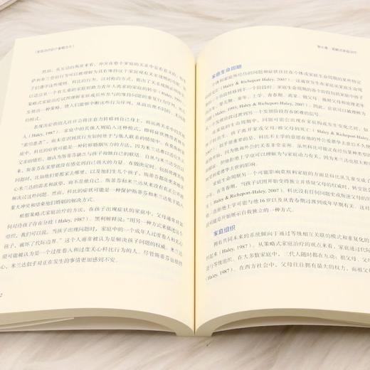 家庭治疗的个案概念化 商品图4