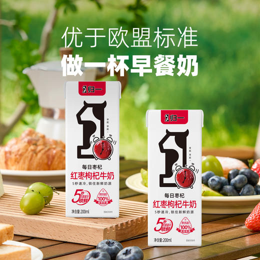 归一红枣枸杞牛奶200mL*12盒*2箱每日枣杞早餐奶 商品图2