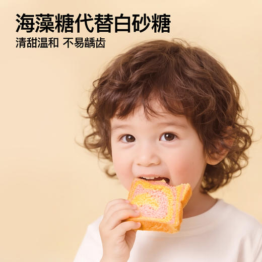奶酪博士 高钙奶酪南瓜小吐司面包 商品图6