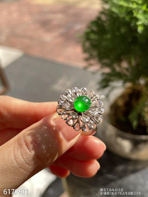 6170901，蛋面戒指。具体价格微信咨询 商品图1