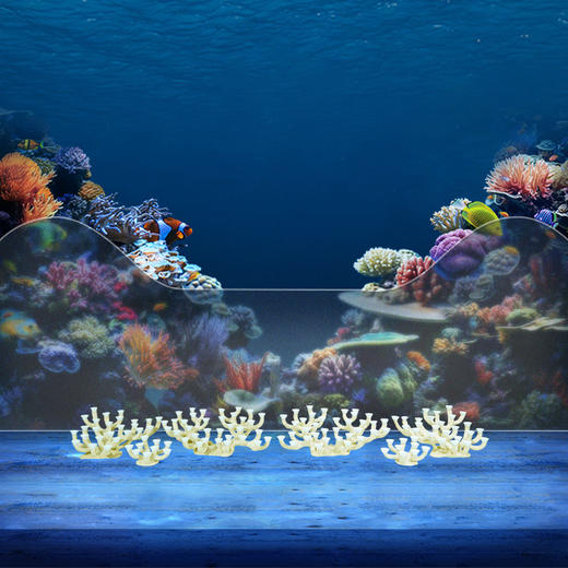 200缸枝状烧制造景 商品图5