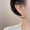 【赤红流苏耳坠】复古新中式天然石串珠耳环 手工设计款国风油画感气质耳饰 商品缩略图0