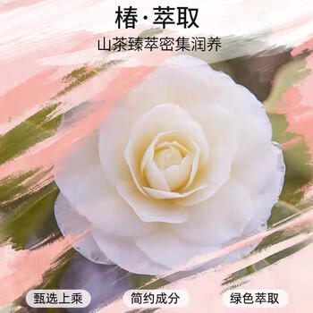 丝蕴（syoss）洗发水山茶油滋养修护洗发露修护受损抚平毛躁无硅油洗头膏420ml /个人护理 /洗发护发 /洗发水 商品图3