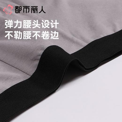 都市丽人内裤男士内裤棉质内裤人棉平角内裤明筋内裤FKCZ01 商品图4