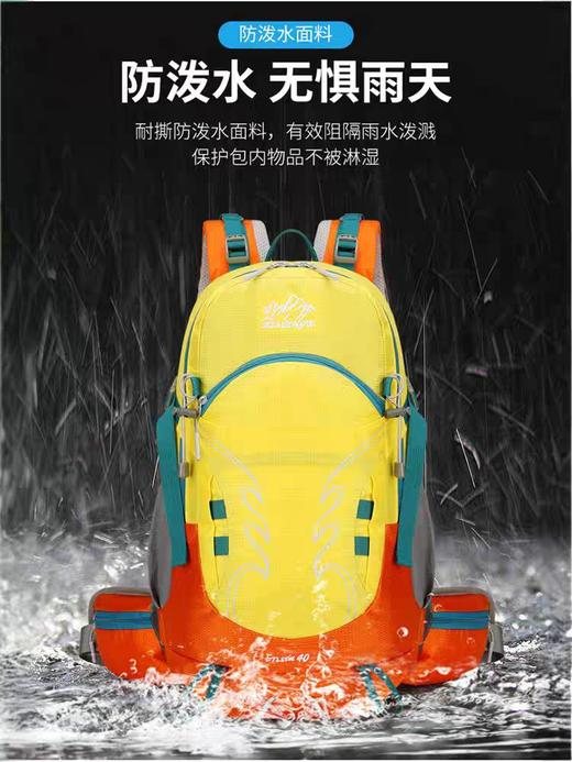 【下单送防雨罩】35L男女户外徒步登山背囊悬浮背可拆卸板防泼水女运动双肩背包 独立鞋仓设计 商品图1