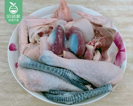 洛江山头散养180天小种土鸡-砍块（1kg±70g/份 不带头尾） 商品图6